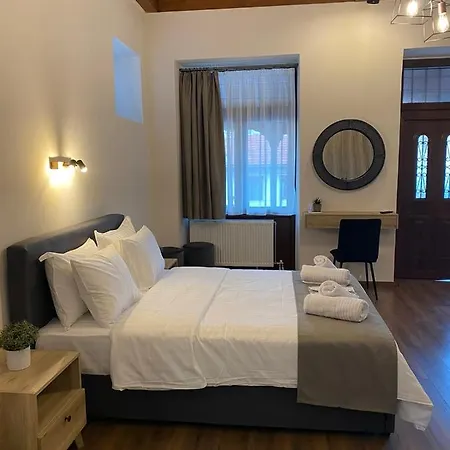 11 Luxury Apartments Metsovo Exterior photo