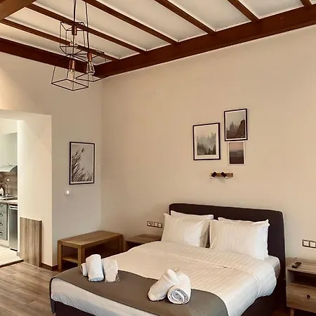 11 Luxury Apartments Metsovo Exterior photo